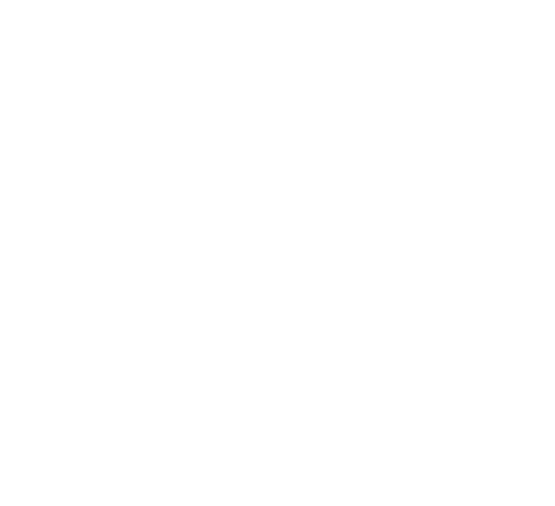 YoiBumi cat icon